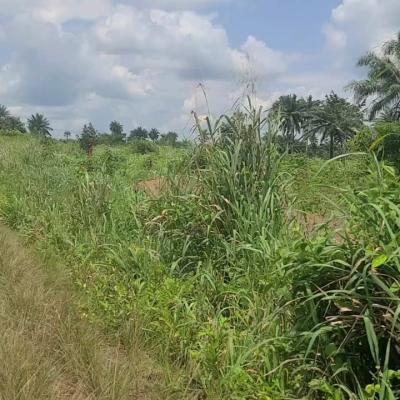 6 Plots of Land for Sale | Ipo, Omagwa (Port Harcourt Airport Axis)