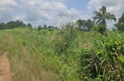 6 Plots of Land for Sale | Ipo, Omagwa (Port Harcourt Airport Axis)